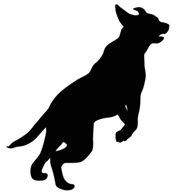 Labrador köpek siluet beyaz bir arka plan üzerinde
