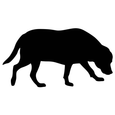Labrador köpek siluet beyaz bir arka plan üzerinde