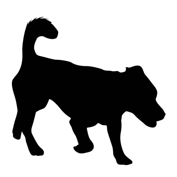 흰 배경에 있는 Welsh Corgi dog silhouette — 스톡 벡터