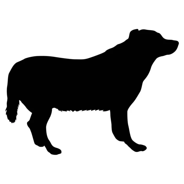 Silueta de perro labrador sobre fondo blanco — Vector de stock
