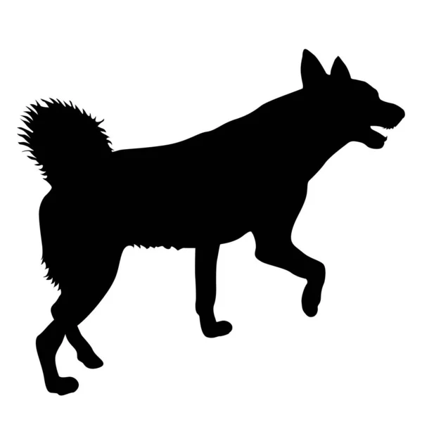 Silhouette de chien Corgi gallois sur fond blanc — Image vectorielle