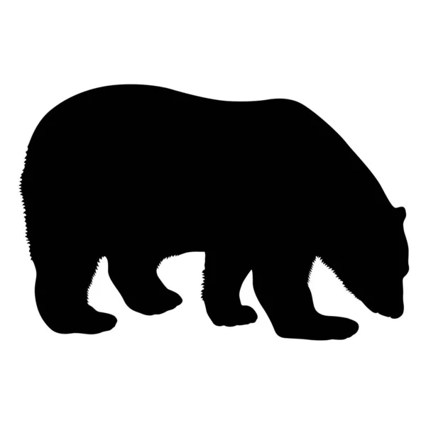 Beyaz arka planda siluet kutup ayısı — Stok Vektör
