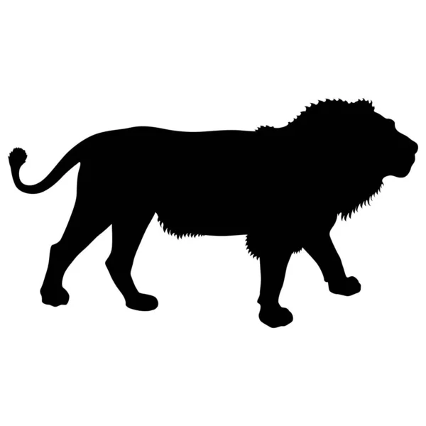 Silhouette of the Lion on a white background — Stock Vector