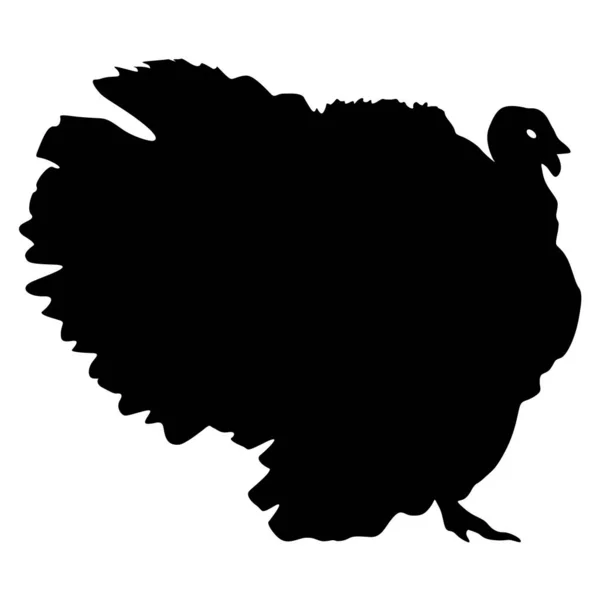 白い背景にシルエットの黒い七面鳥 — ストックベクタ