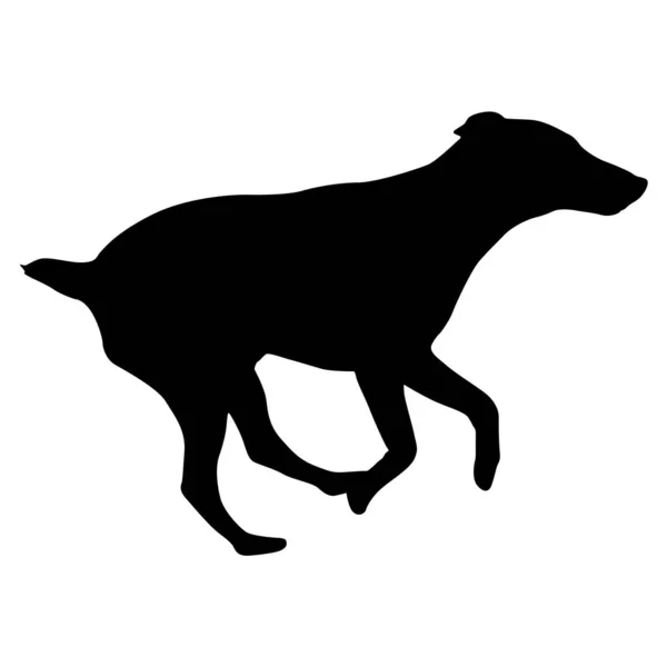 Doberman silueta de perro pinscher sobre un fondo blanco — Vector de stock