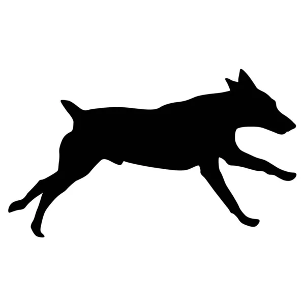 Doberman Pinscher hond silhouet op een witte achtergrond — Stockvector