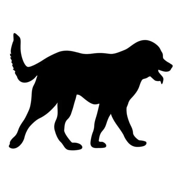 Silhouette de chien berger sur fond blanc — Image vectorielle