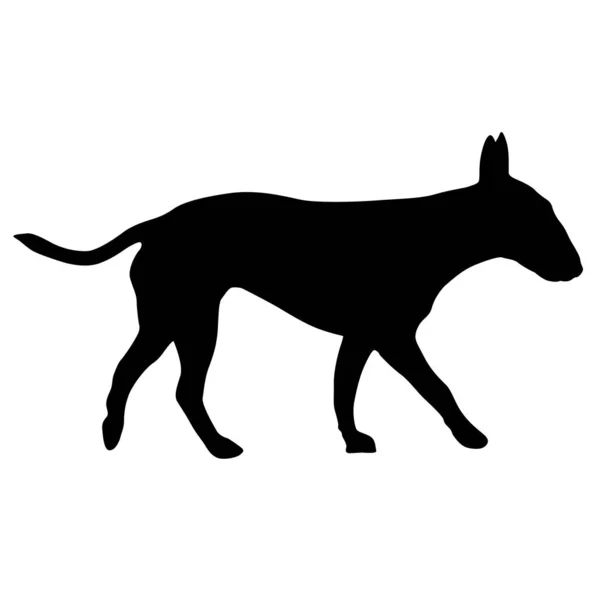 Silueta de perro terrier toro sobre fondo blanco — Vector de stock