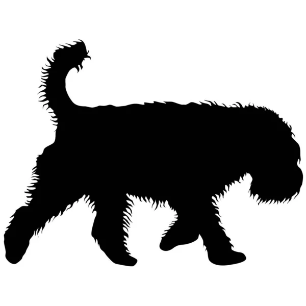 Airedale terrier cão silhueta em um fundo branco — Vetor de Stock