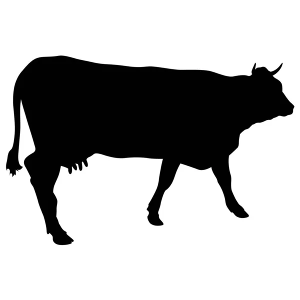 白い背景の上の現金牛の黒いシルエット — ストックベクタ