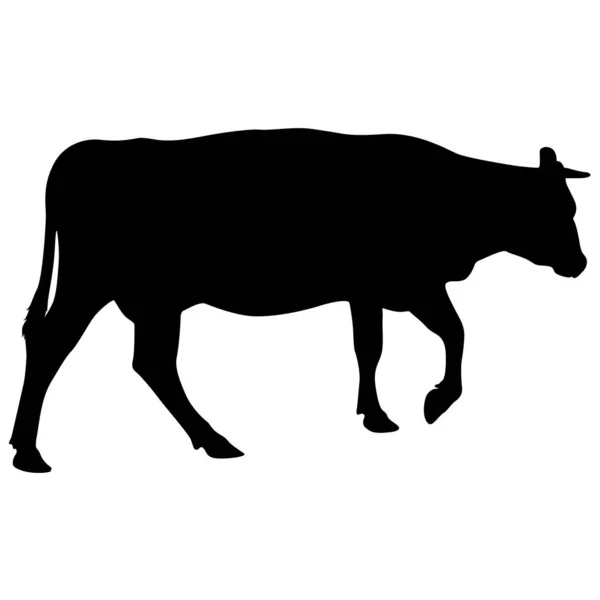 Черный силуэт денежной коровы на белом фоне — стоковый вектор