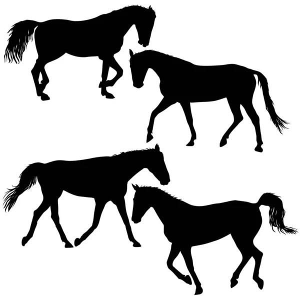 Set silhouette of black mustang horse vector illustration — Stock Vector