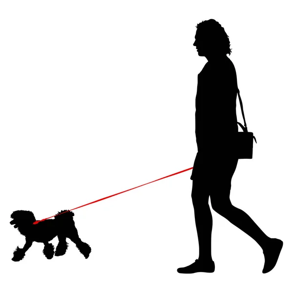 Silhouette di persone e cane. Illustrazione vettoriale — Vettoriale Stock