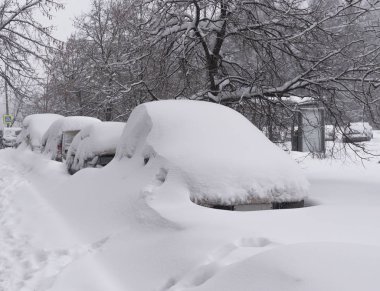 Kış blizzard Park kar ile kaplı araç