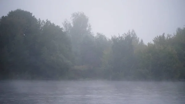 Early morning on the river in the forest in the fog above the water — Stock Photo, Image