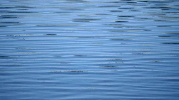Bela superfície de água no início da manhã — Fotografia de Stock