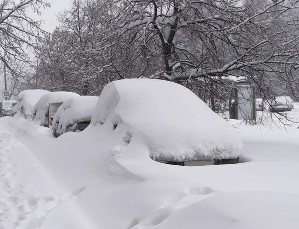 Vehículos cubiertos de nieve en la ventisca de invierno en el aparcamiento —  Fotos de Stock