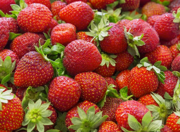 Fundo de morangos bonitos e suculentos com folhas verdes — Fotografia de Stock