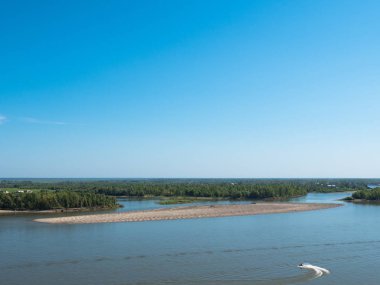 Yeşil bir ormanda nehir akıyor. Doğal arka plan.