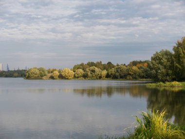 Su yansıması doğal manzara ile Sonbahar yaprakları