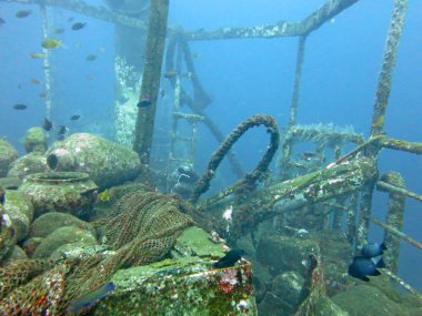 büyük batık, oturur kumlu bir zemine Bali üzerinde