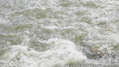 Dalgalar, sprey ve köpük, Altai dağlarında Katun nehri. Sibirya, Rusya