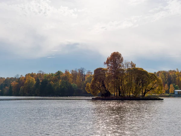 Höst lövverk med vatten reflektion naturlandskap — Stockfoto