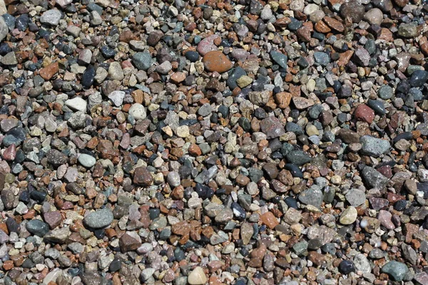 Meeresmuscheln Hintergrund. — Stockfoto