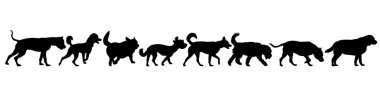 Beyaz bir arka plan üzerinde siluet köpek ayarlayın