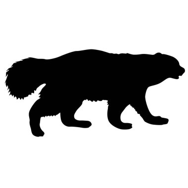 Beyaz arka plan üzerinde Wolverine silueti