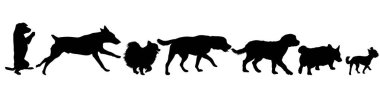 Beyaz bir arka plan üzerinde set siluet siyah köpek