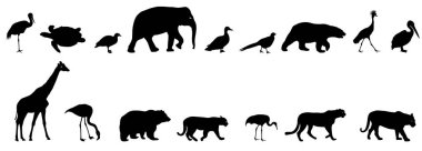 Siluet fil kaplan zürafa flamingo Pelikan kaz beyaz bir arka plan üzerinde ayı