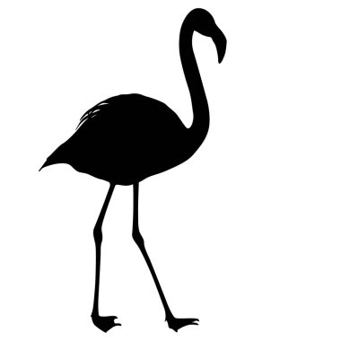 Siluet kuş flamingo beyaz bir arka plan üzerinde