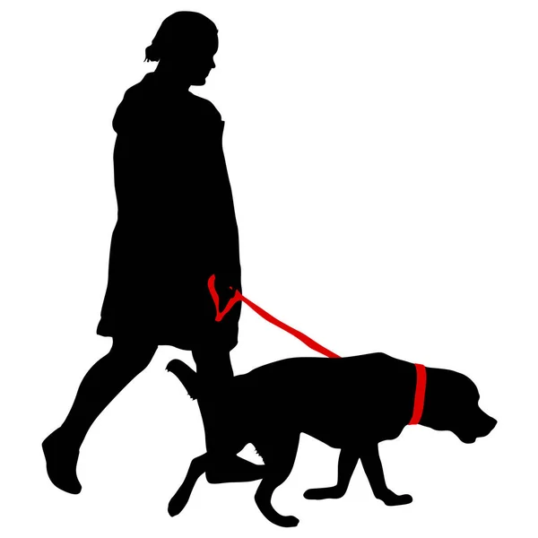 Silhouette von Frau und Hund auf weißem Hintergrund — Stockvektor