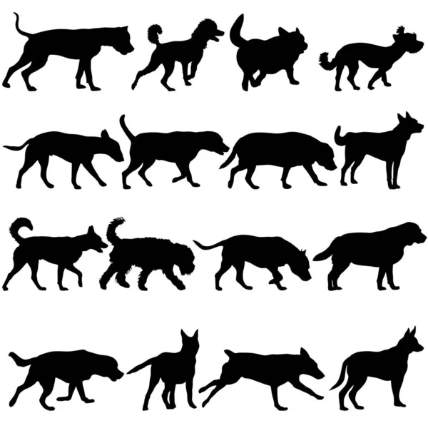 Set silueta perro sobre un fondo blanco — Vector de stock