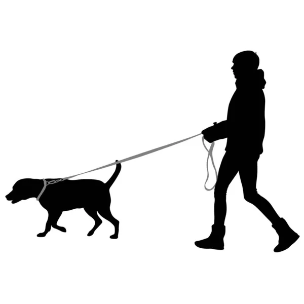 Silhouette nő és kutya egy fehér háttér — Stock Vector