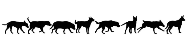 Nastavení psa siluety na bílém pozadí — Stockový vektor