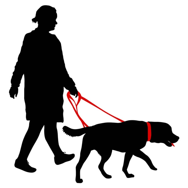 Silhouette di donna e cane su sfondo bianco — Vettoriale Stock