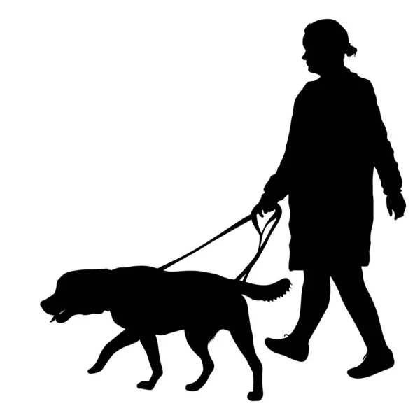 Silhouette di donna e cane su sfondo bianco — Vettoriale Stock