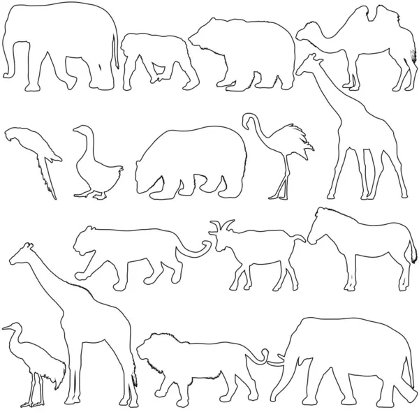 Sylwetka słoń niedźwiedź Orzeł kłus kaczka zebra na białym tle — Wektor stockowy