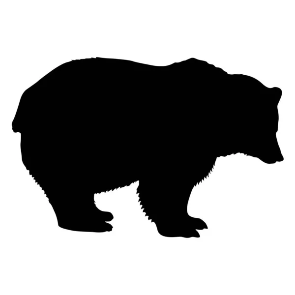 Силуэт бурого медведя на белом фоне — стоковый вектор