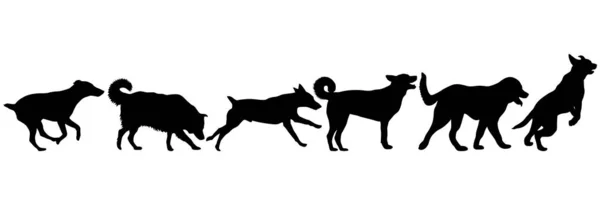 Instellen van silhouet hond op een witte achtergrond — Stockvector