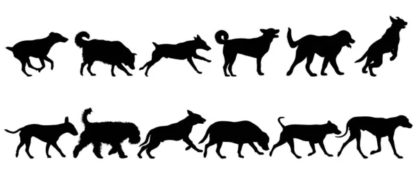 Set silueta perro sobre un fondo blanco — Vector de stock