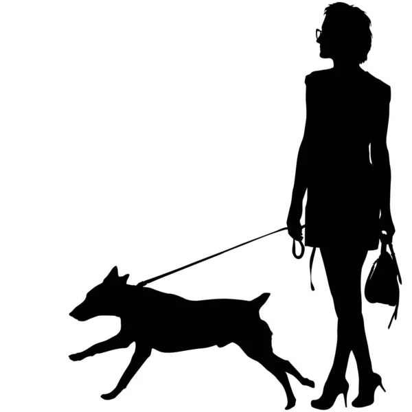 Silhouette di donna e cane su sfondo bianco — Vettoriale Stock