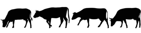 Conjunto negro silueta de la vaca de efectivo sobre fondo blanco — Archivo Imágenes Vectoriales