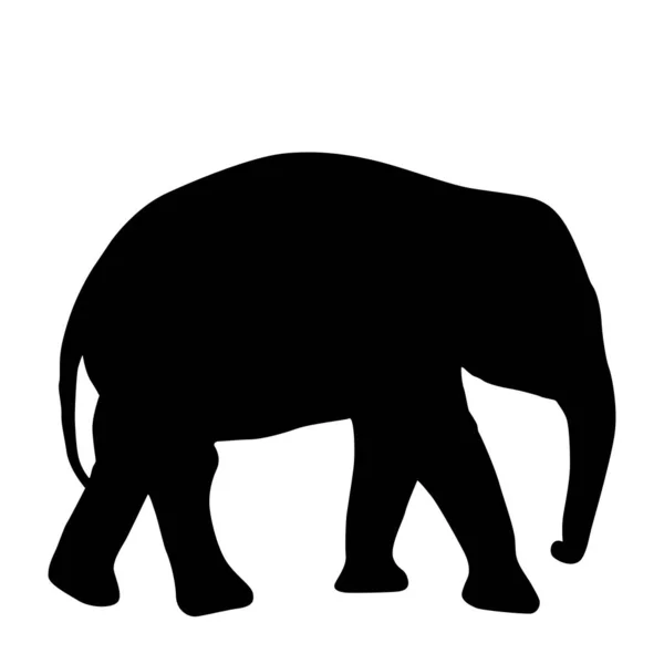 Silhouette d'un bébé éléphant d'Afrique sur fond blanc — Image vectorielle