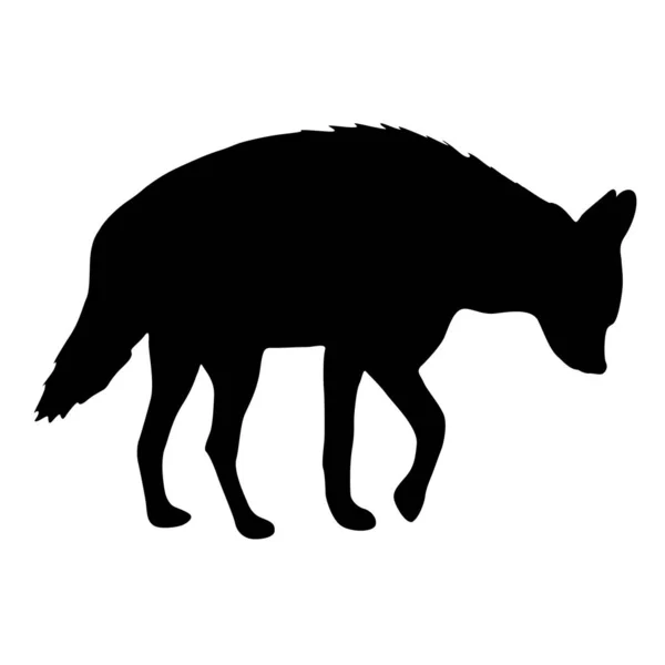 Silhouette of hyena on a white background — Stock Vector