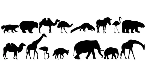 Silhouette af hyæne på en hvid baggrund – Stock-vektor