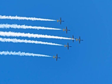 Moskova Rusya Zhukovsky Havaalanı 31 Ağustos 2019: Baltık Arıları akrobatik takımından Aero L-39C Albatros Uluslararası Havacılık Salonu MAKS-2019 gösteri uçuşunu gerçekleştiriyor.