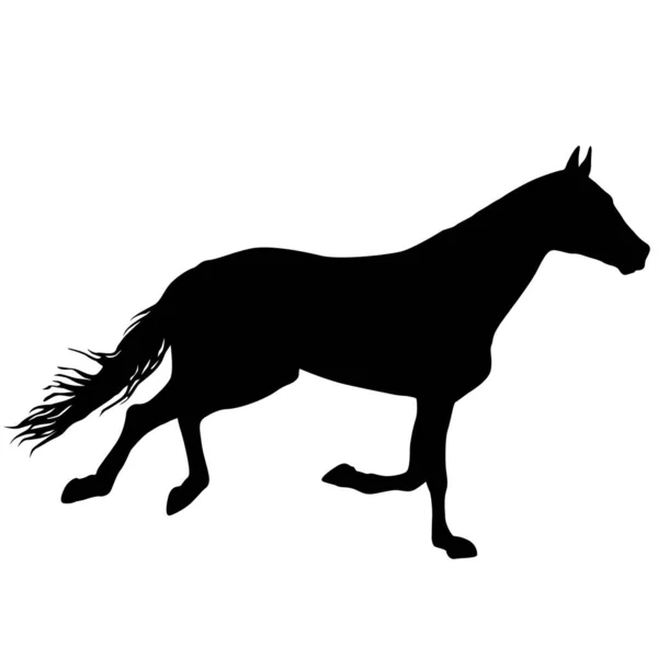 Silhouette Cheval Mustang Noir Sur Fond Blanc — Image vectorielle